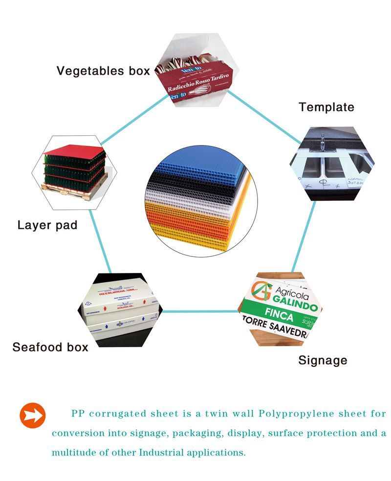 PP hollow sheet (10)